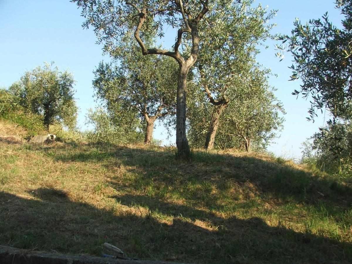 La Casetta Di Sofia Монелья Экстерьер фото
